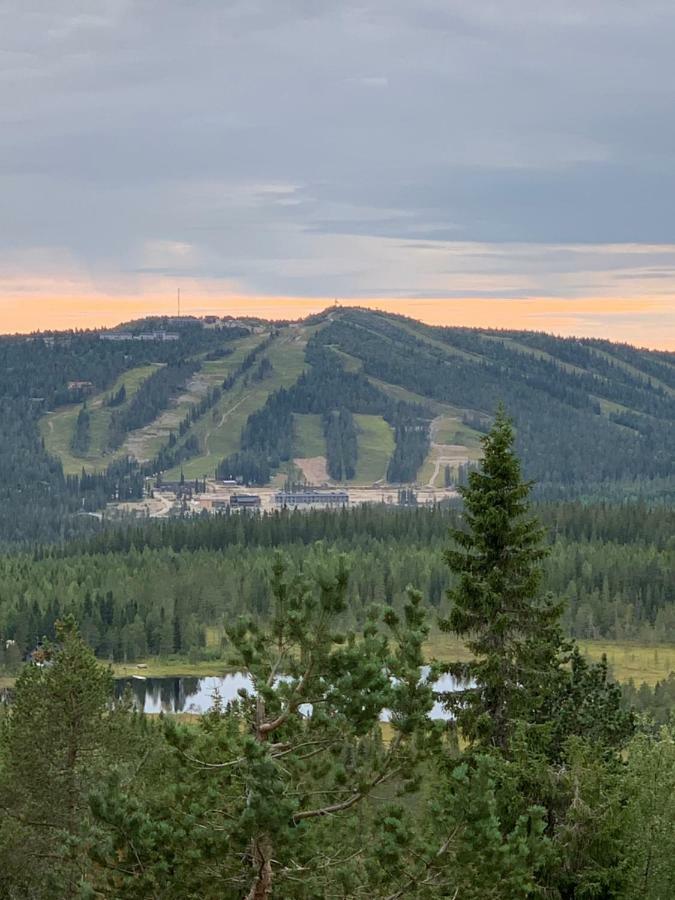 Kide Hotel By Iso-Syoete Eksteriør billede